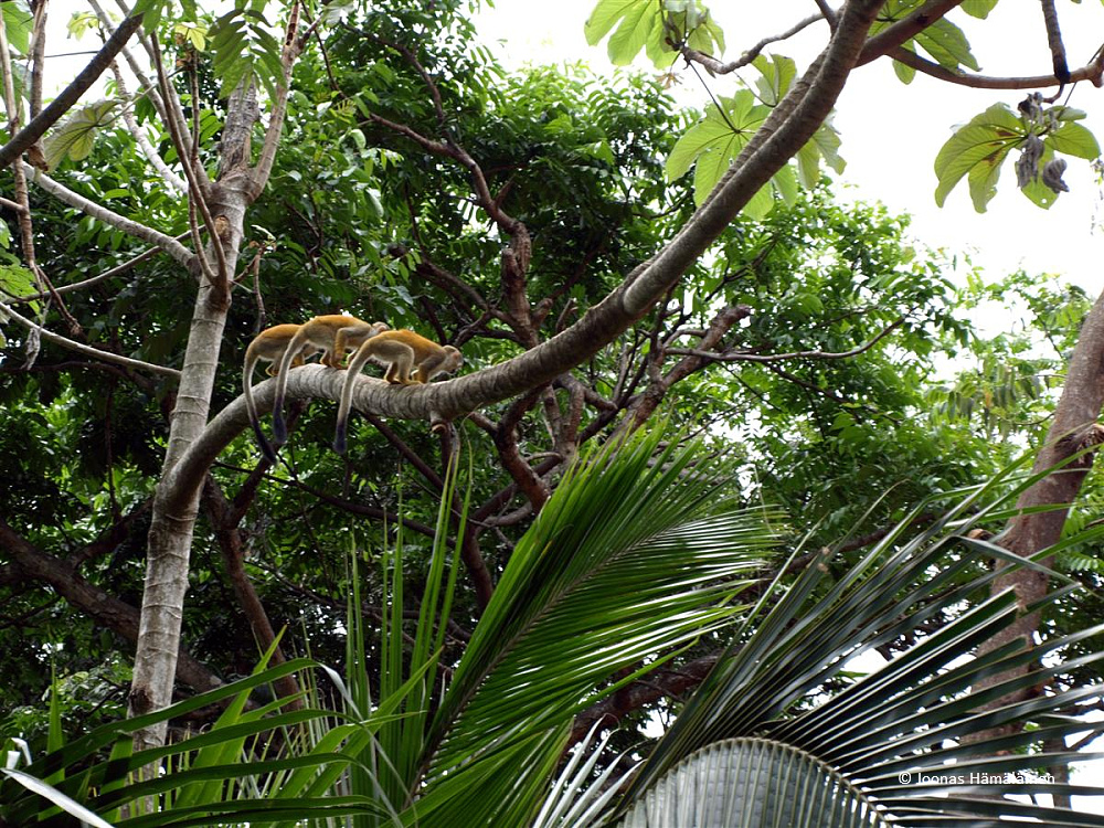 Costa Rica