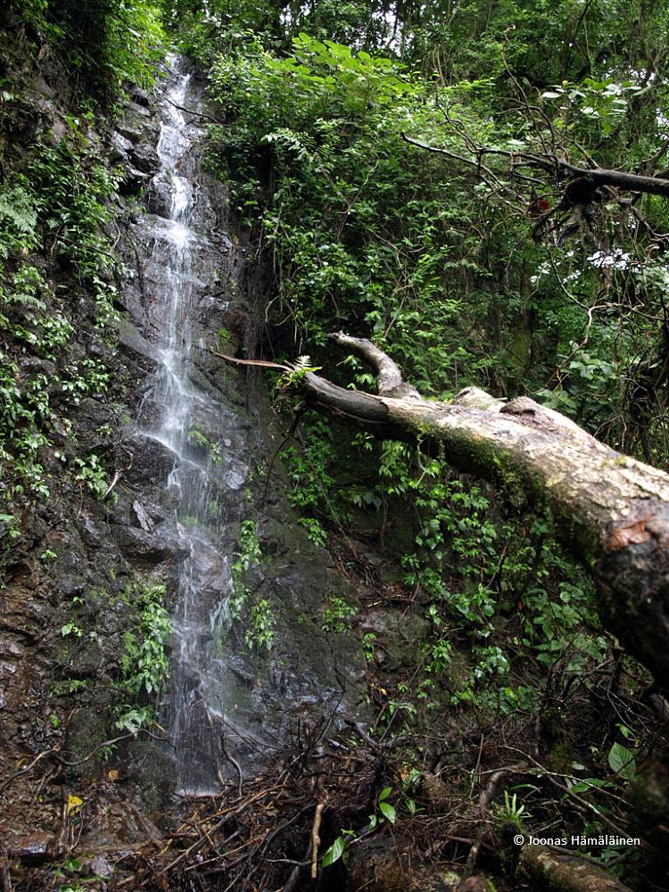 Monteverde, Costa Rica