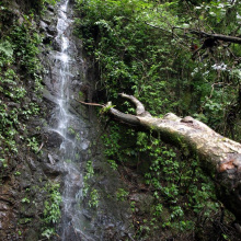 Monteverde, Costa Rica