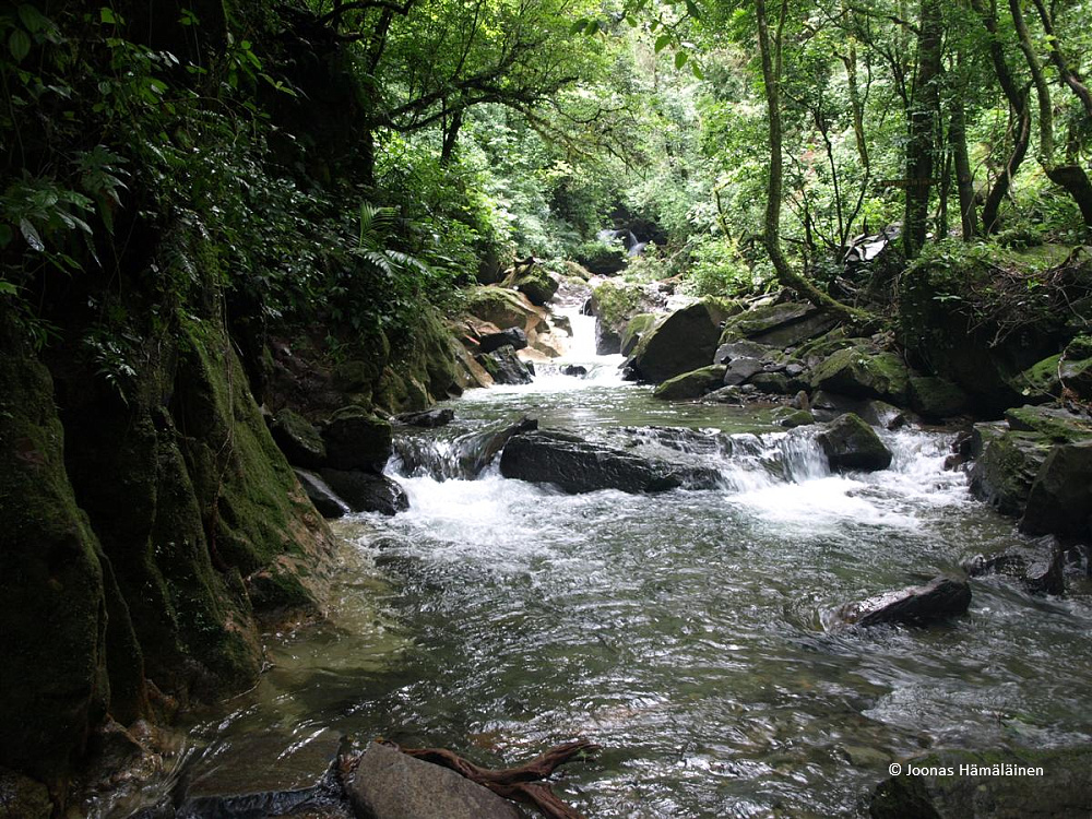 Monteverde, Costa Rica