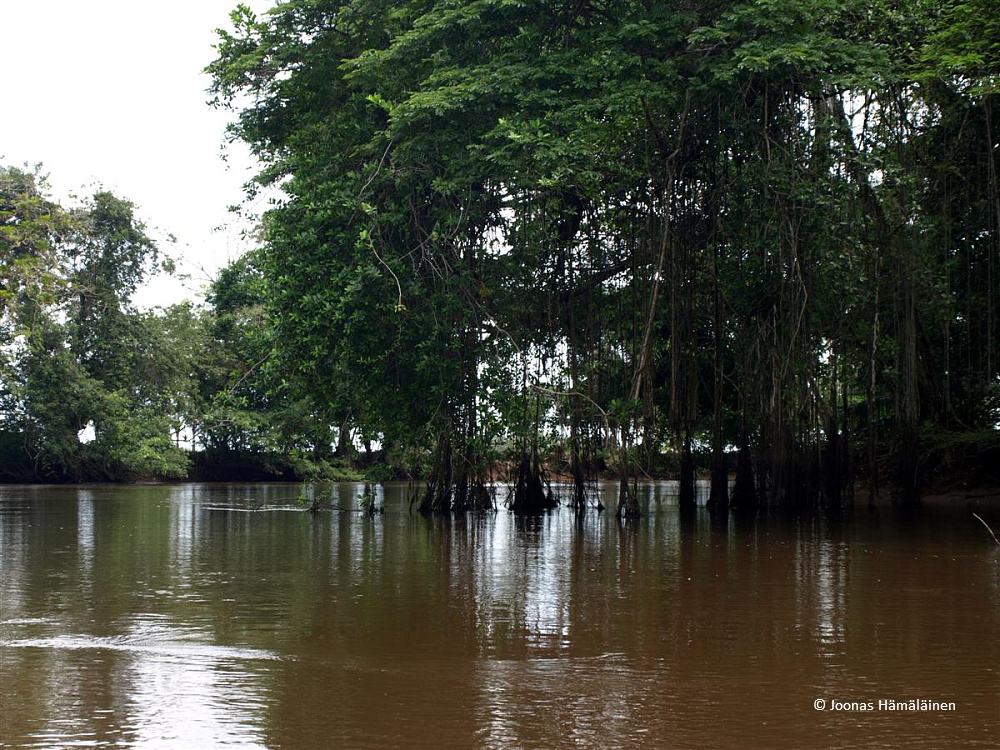 Caño Negro, Costa Rica