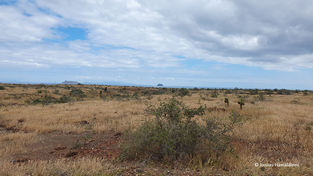 Baltra, Galapagos, eCuador