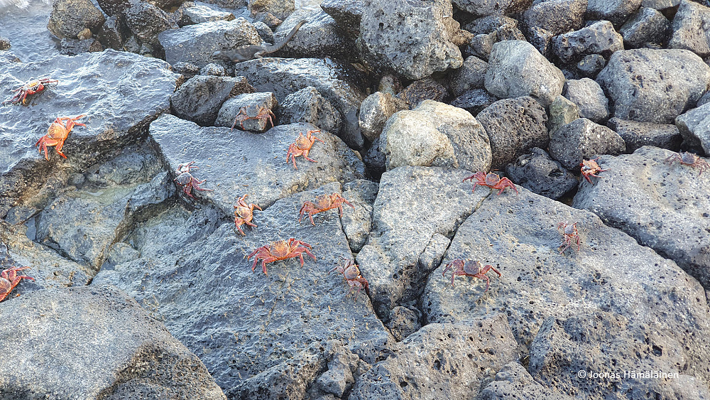 Puerto Ayora, Galapagos, Ecuador