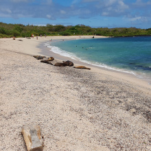 San Cristobal, Galapagos