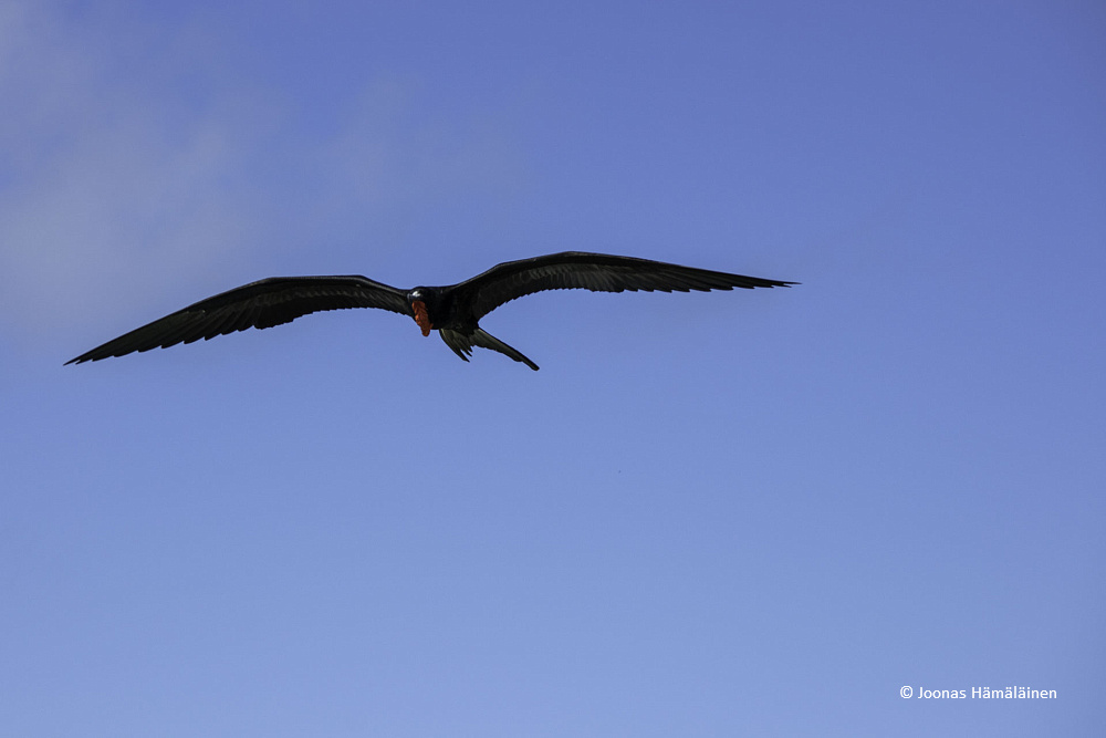 Puerto Ayora, Galapagos, Ecuador