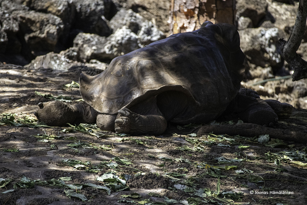 Puerto Ayora, Galapagos, Ecuador