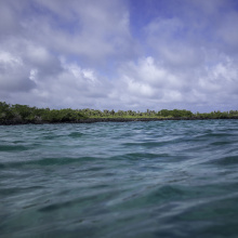 Santa Fe, Galapagos