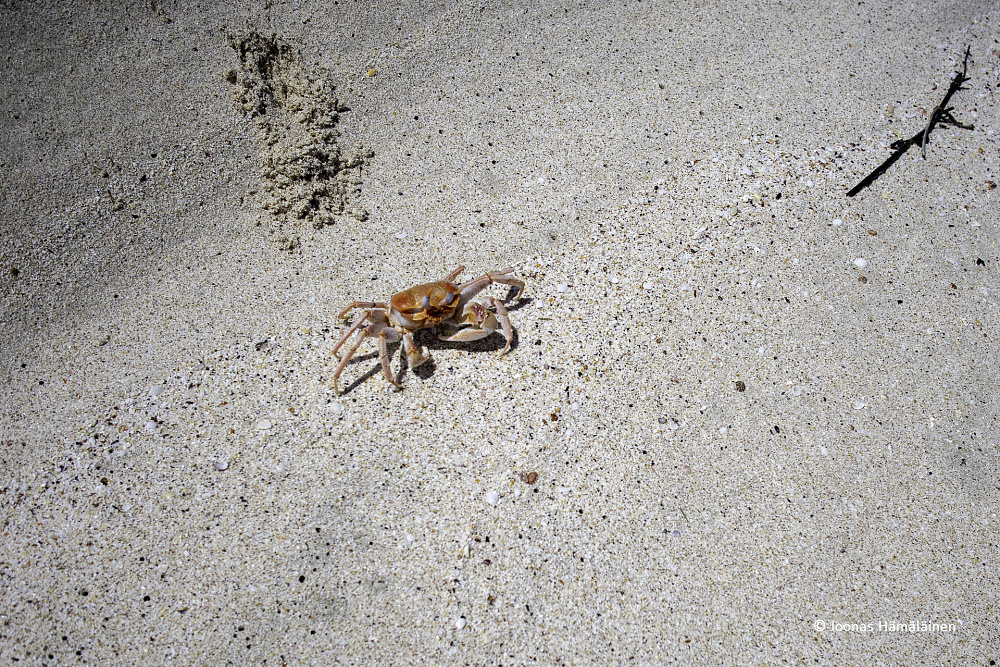 San Cristobal, Galapagos