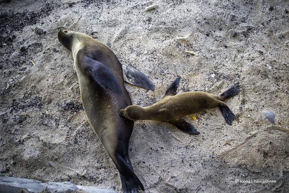 San Cristobal, Galapagos