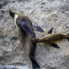 San Cristobal, Galapagos