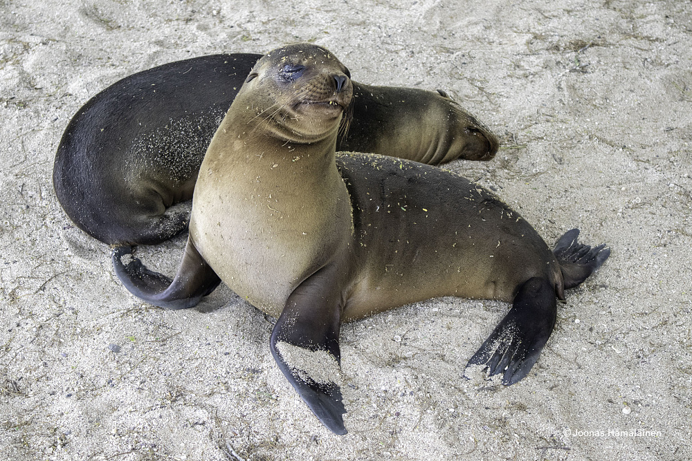 San Cristobal, Galapagos