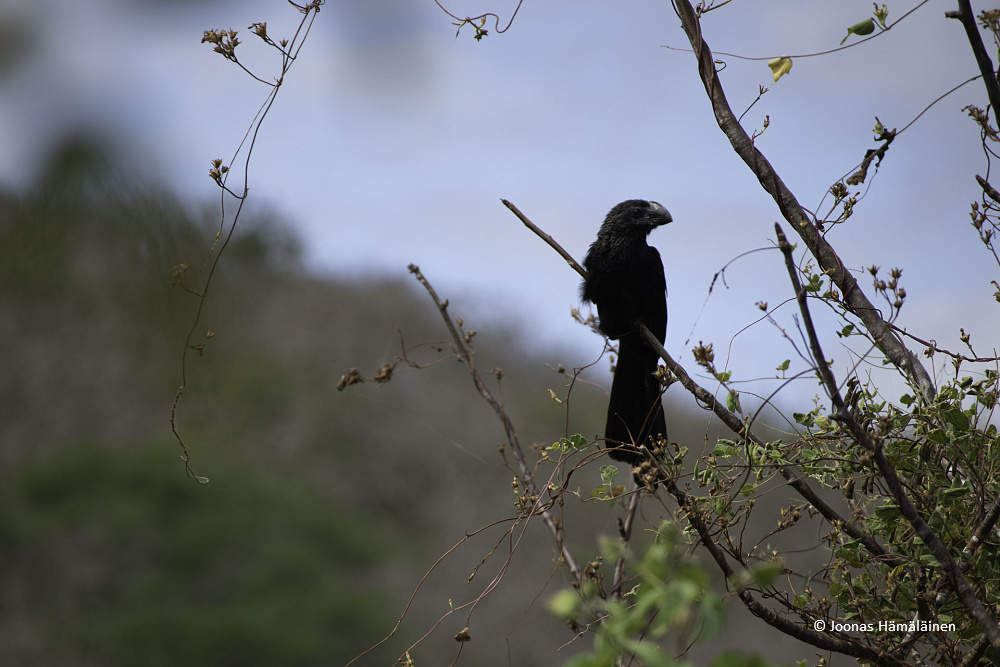 San Cristobal, Galapagos