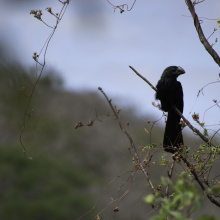 San Cristobal, Galapagos