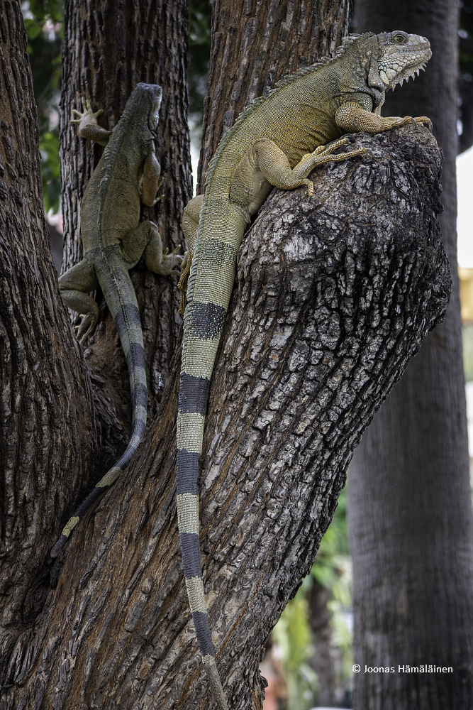 Guayaquil, Ecuador