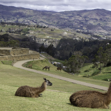 Ingapirca, Ecuador