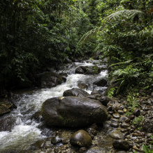 Ecuador