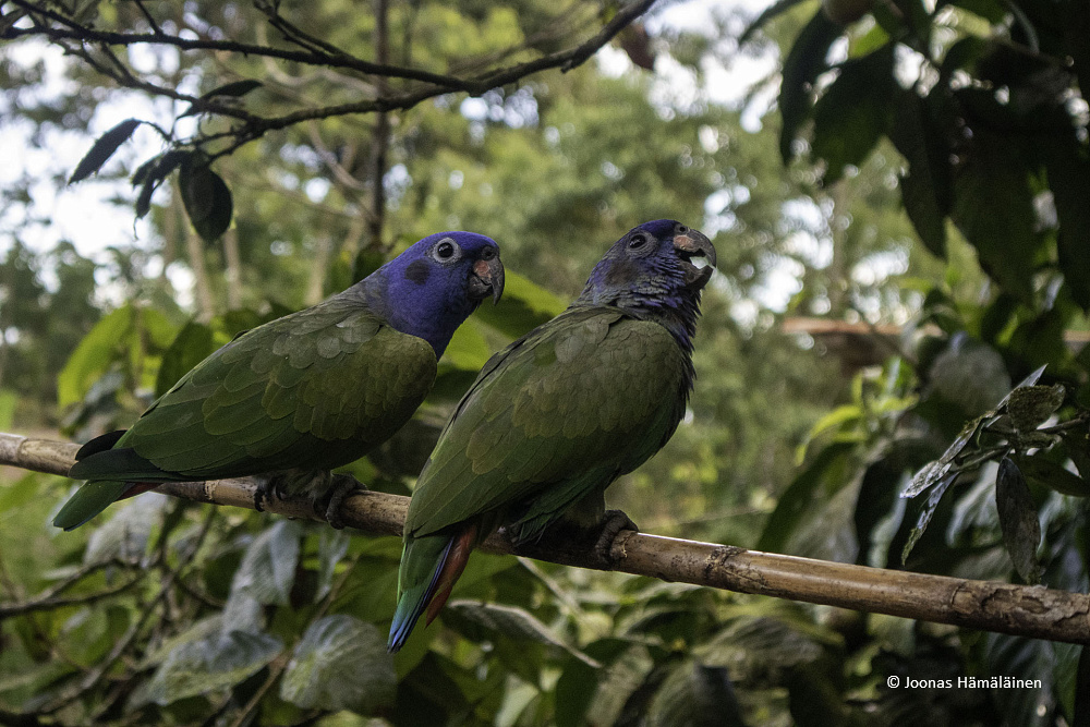 Ecuador