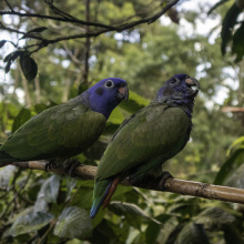 Ecuador