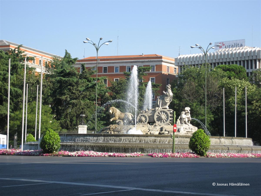 Kuva_910