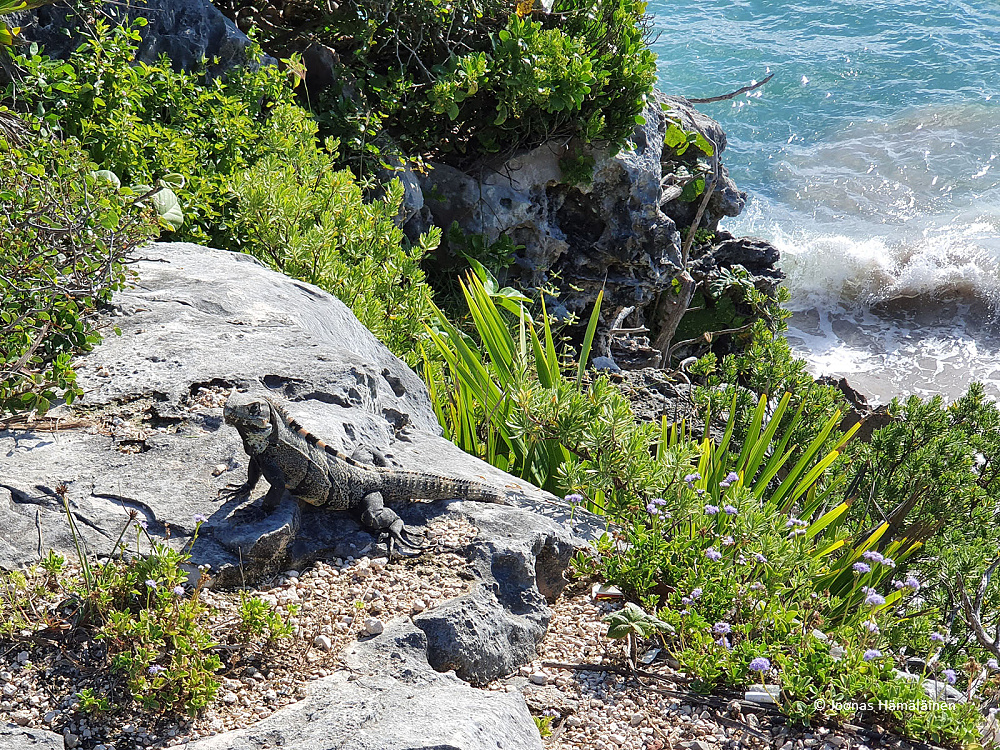 Tulum, Meksiko