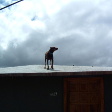 DSCF0101