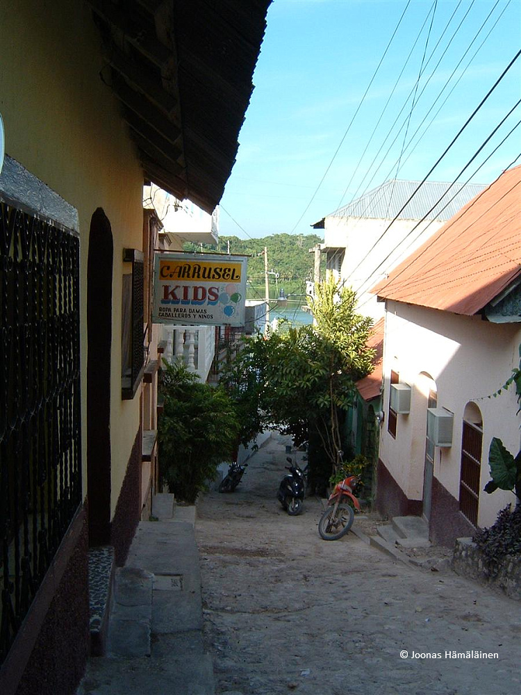 DSCF0314