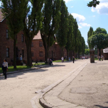 Auschwitz, Puola