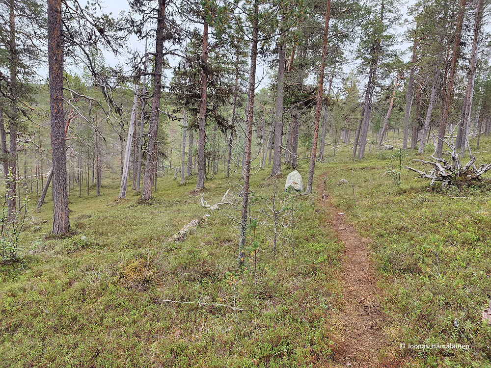 Lemmenjoen kansallispuisto, Inari