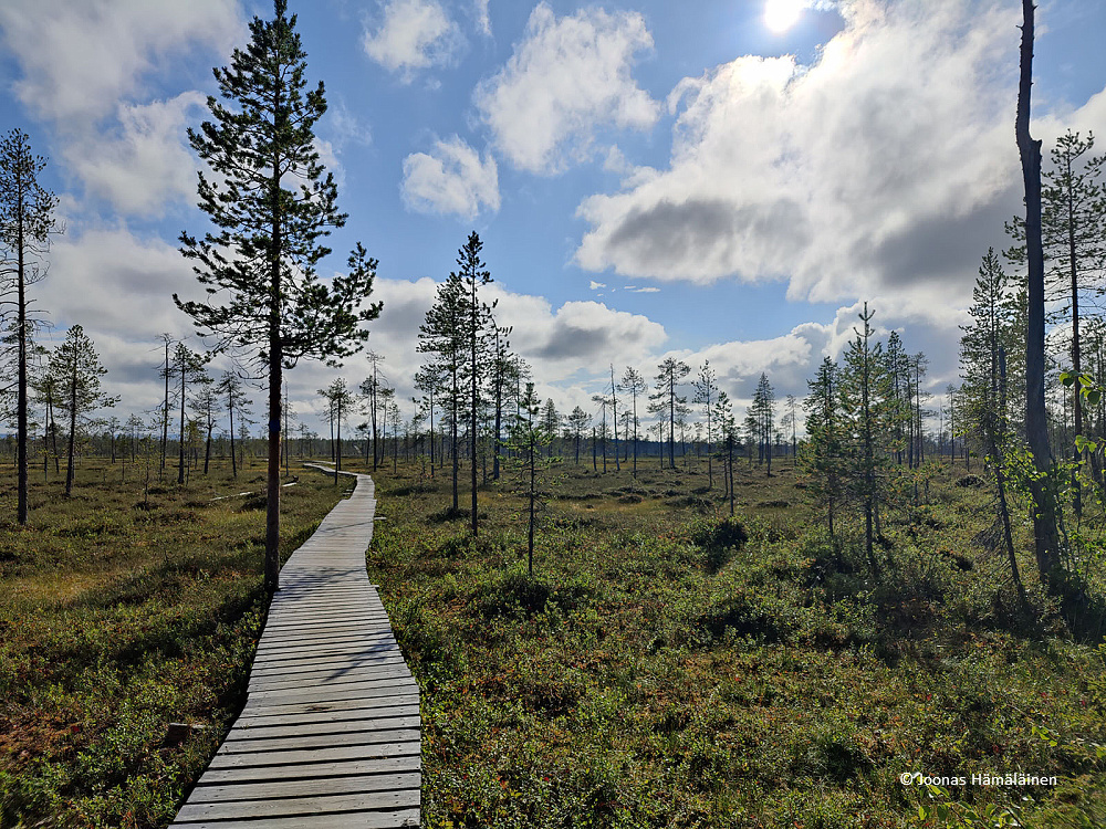Pyhätunturin kansallispuisto