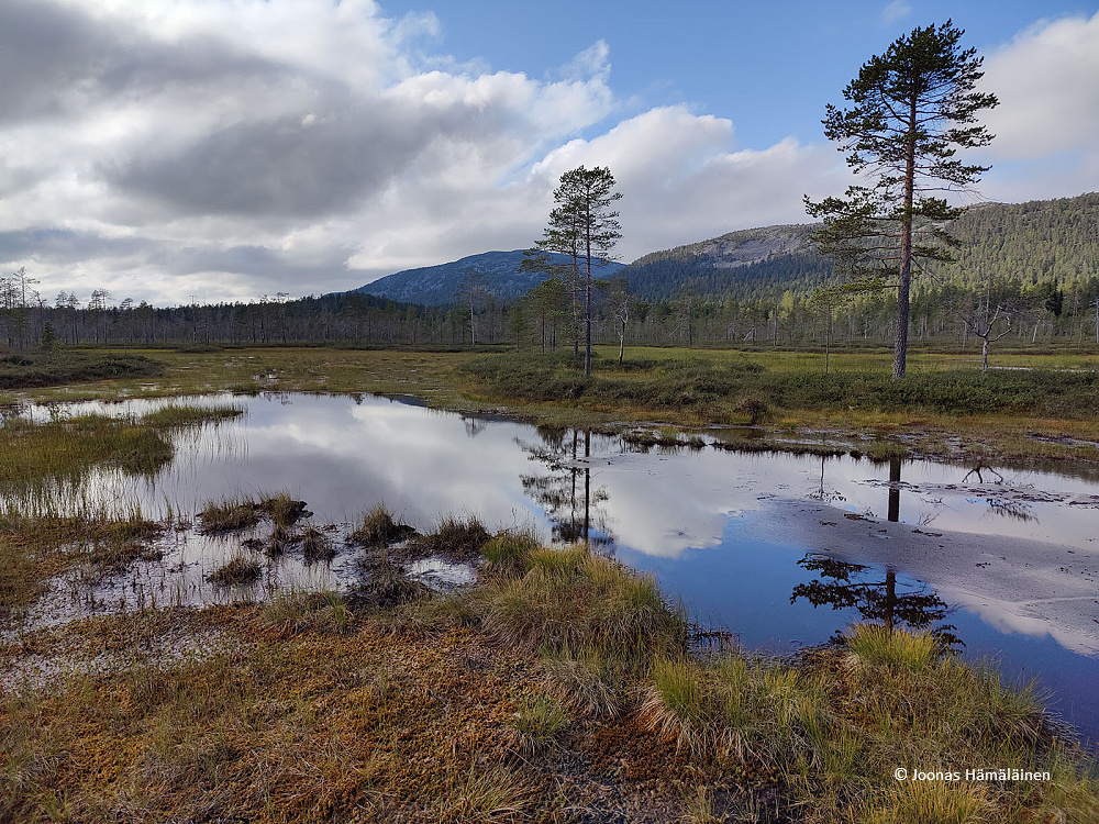 Pyhätunturin kansallispuisto