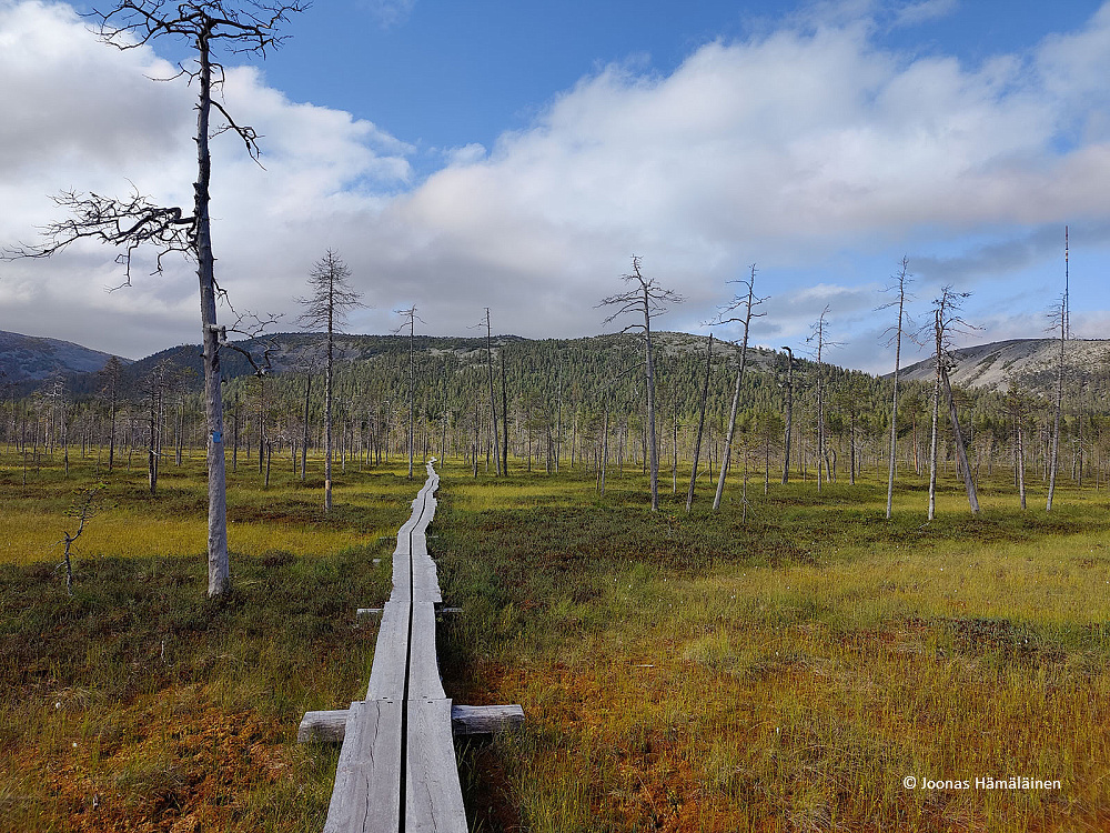 Pyhätunturin kansallispuisto