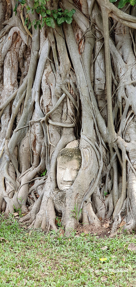 Ayutthaya, Thaimaa