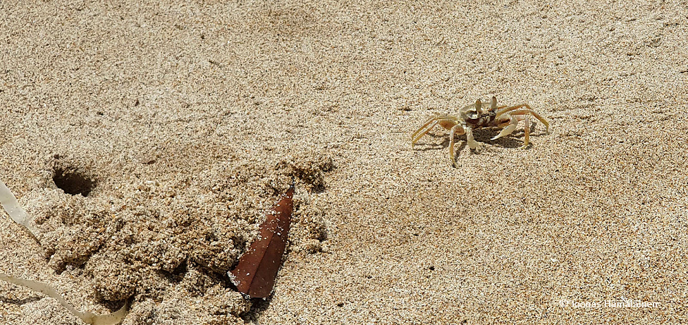 Koh Lanta, Thaimaa