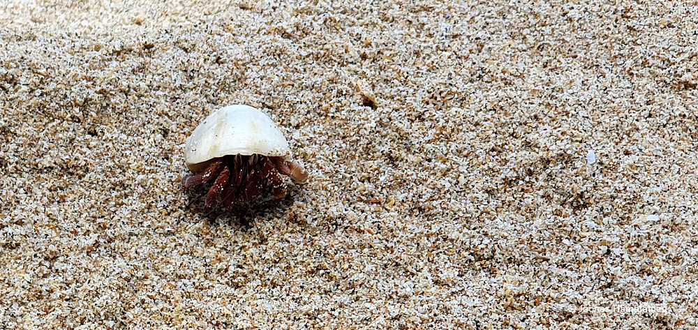Koh Lanta, Thaimaa