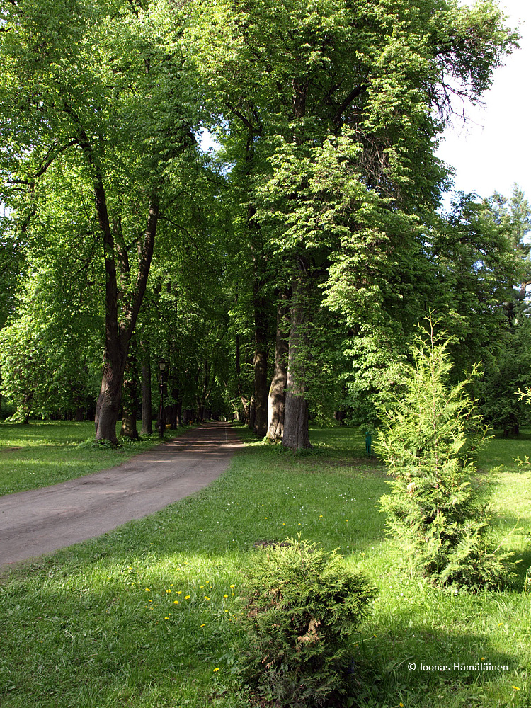 Njasviž, Valko-Venäjä