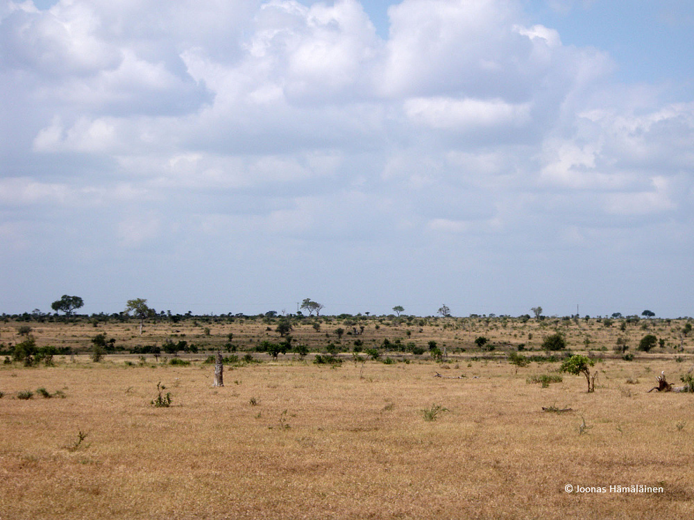 Krugerin kansallispuisto, Etelä-Afrikka