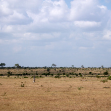 Krugerin kansallispuisto, Etelä-Afrikka