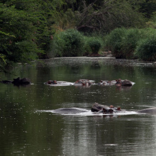 Krugerin kansallispuisto, Etelä-Afrikka