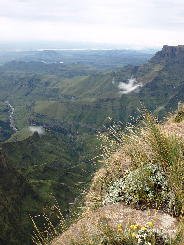 Dragensberg, Etelä-Afrikka