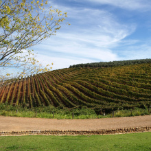 Stellenbosch, Etelä-Afrikka