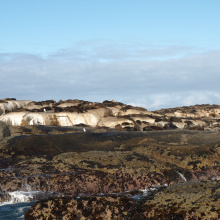 Seal Island, Etelä-Afrikka