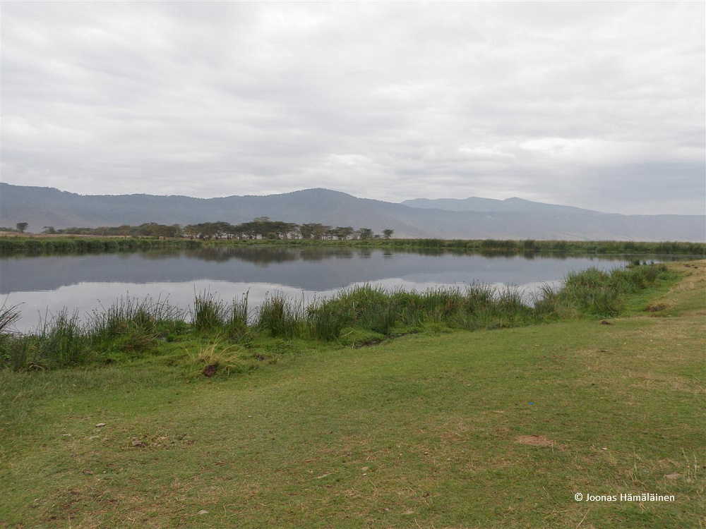 Ngorongoron suojelualue, Tansania