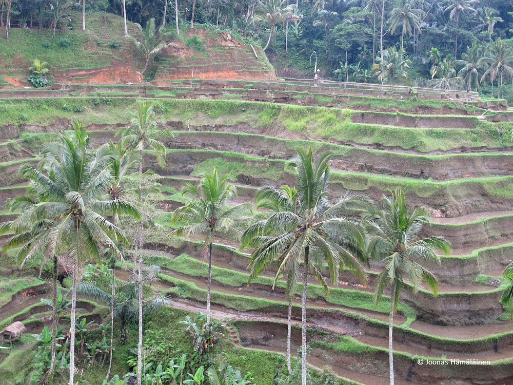 Bali
