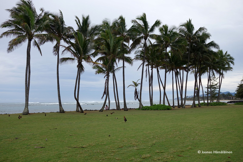 Kapaa, Kauai, Havaiji, USA