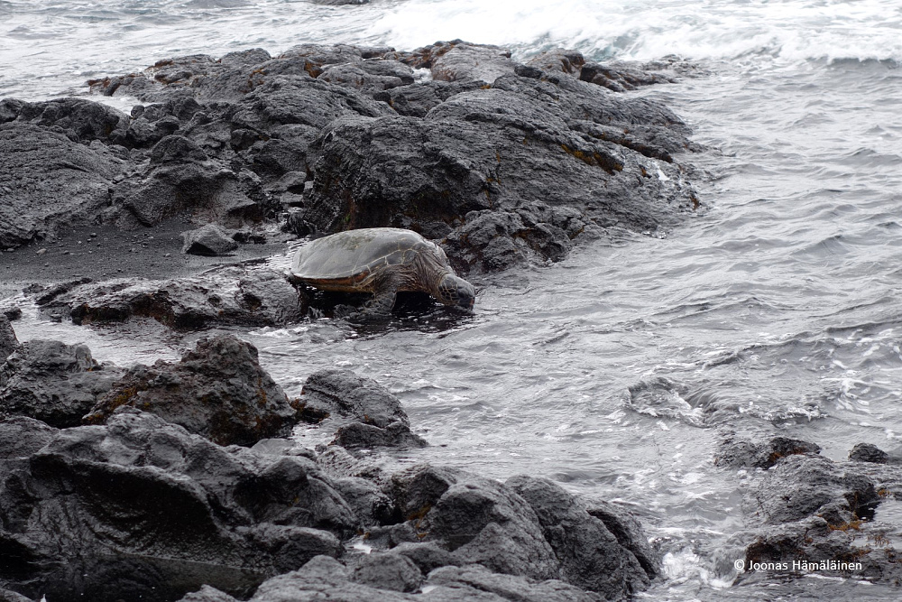 Big Island, Havaiji, USA