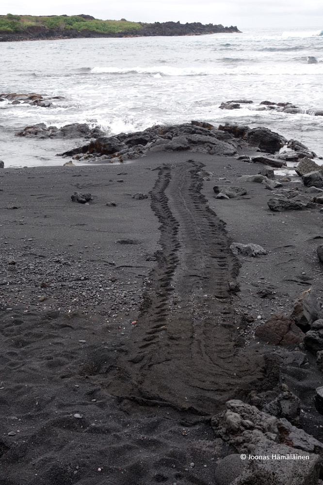 Big Island, Havaiji, USA