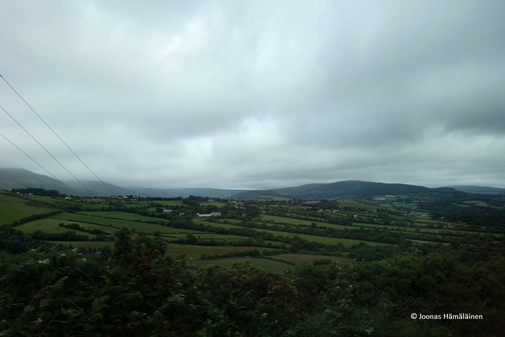 dsc03563