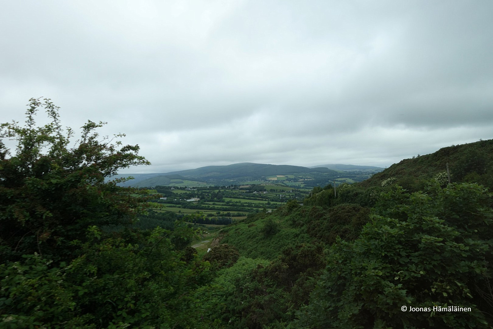 dsc03565