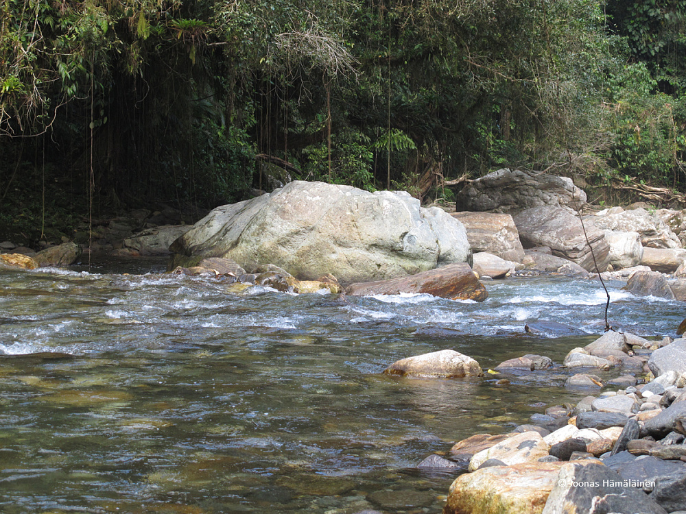 Ciudad Perdida vaellus, Kolumbia