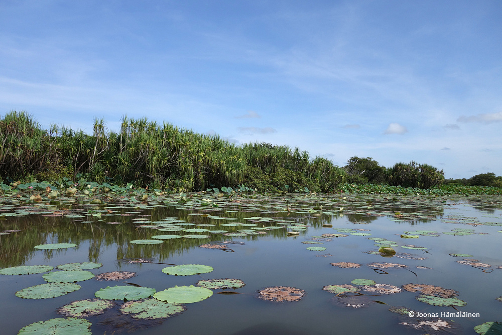 Mary River Wetlands, Australia